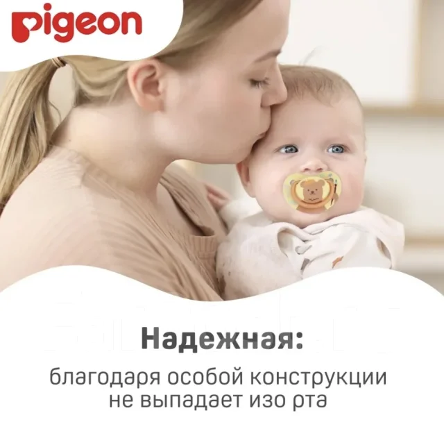 ��������. ����