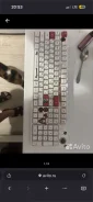 ����������. ����