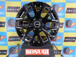RAYS Team Daytona FDX F6