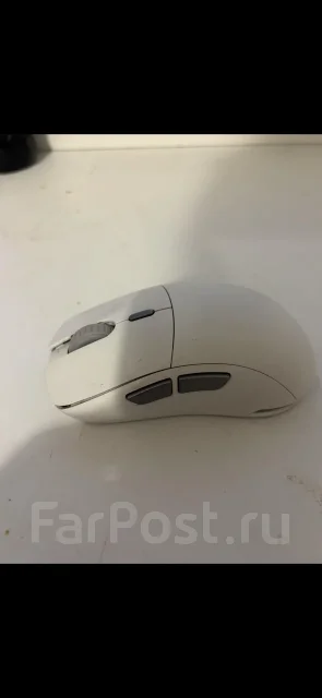 ���� �������. ����