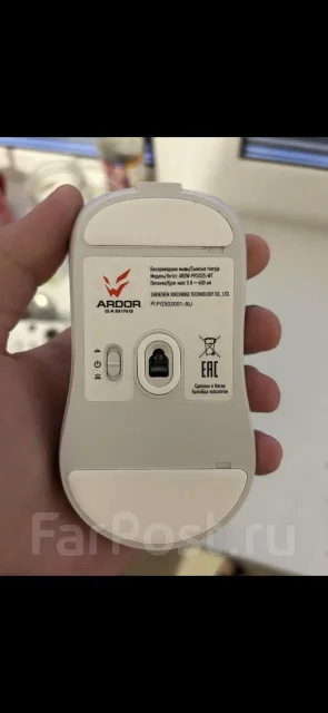 ���� �������. ����
