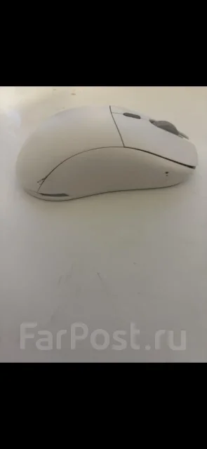 ���� �������. ����