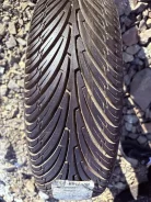 Nexen N2000. ������, �/�, ����� �� 5 % ����