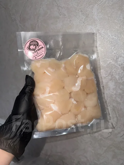 ���� �������. ����