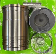 ��������� ������ [ �������� STD Alfine Gallery ] Nissan Diesel UD CW53 CG53 CV53 CD53 RG8 [ 12011-97772 + 12011-97776 ] 576208D000 ����