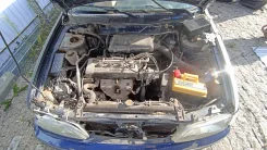 Nissan Primera ����