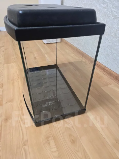 ���������. ����