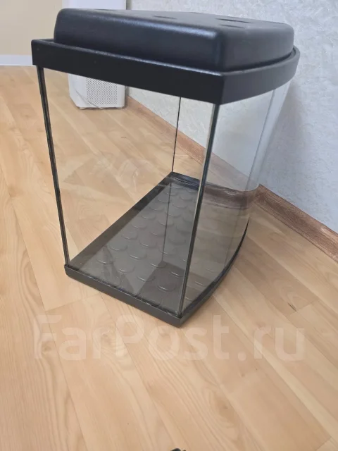 ���������. ����