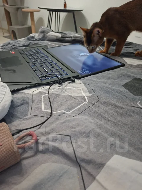 Asus VivoBook Go 15. WiFi: 1, Bluetooth: 1 ����