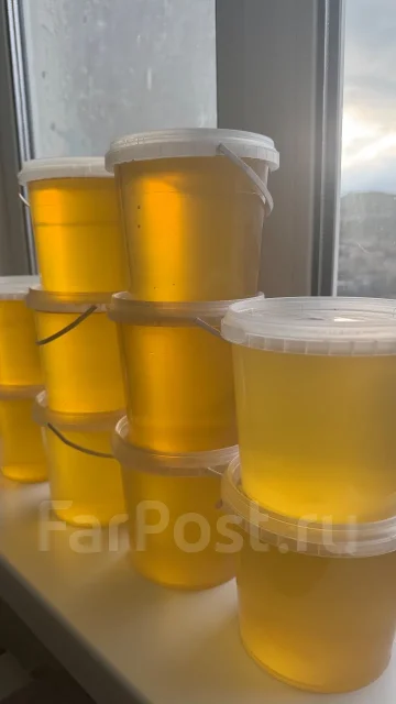 ���, ������� ��������. ����