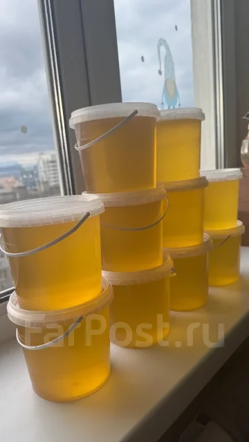 ���, ������� ��������. ����