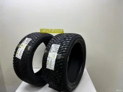 ZMax Winternova Stud II