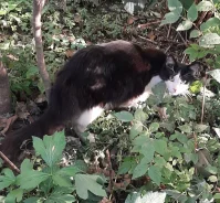 ��� � ����� ������������� ���� ����