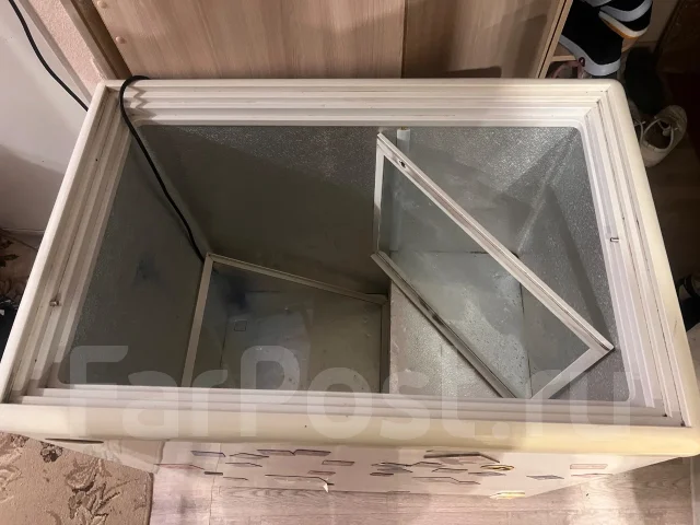���� �����������. ����