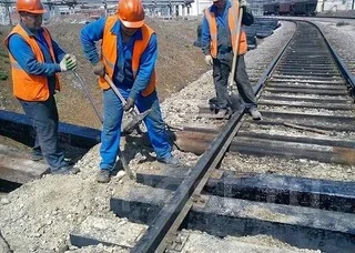 ������ ���������. ����