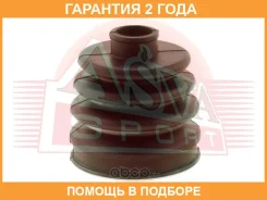 ������� ���� (�������� ��� ������) ASVA / Asbtrcu20 �������� 24 ��� ASBTRCU20 ����