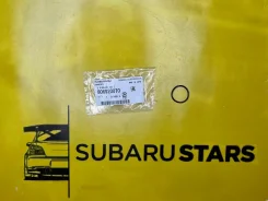 �������������� ������ ���������� ���� 806920070 806920070 ����