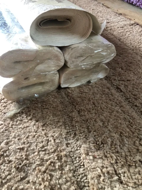 ����. ����