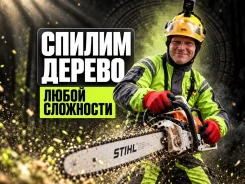 ���� � ������� �������� � ����� �� �������. ������� ������. ������� ����