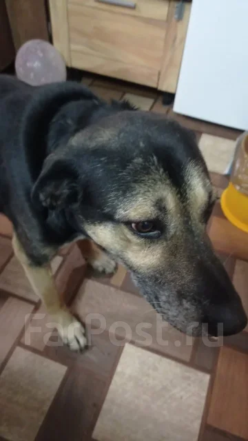 ���������� ������ ����