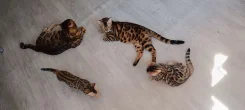 ����������� �����. ����