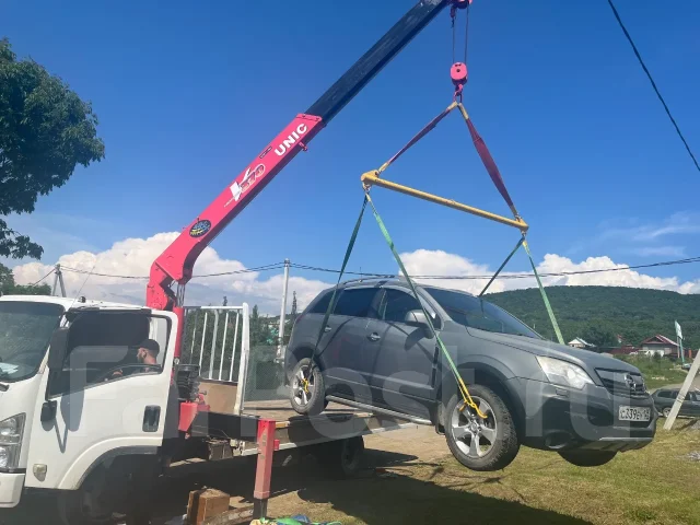 ����������. ����