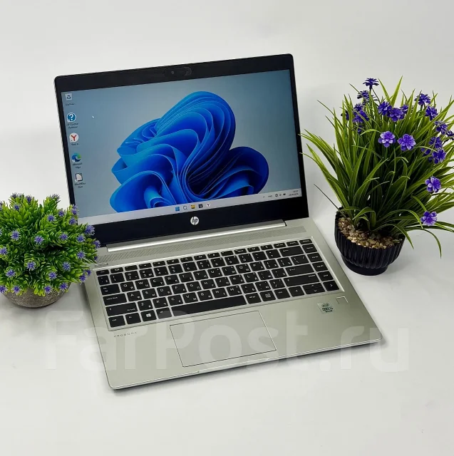 HP. 14", 2,4����, ��� 8 ��, ���� 256���, WiFi: 1, Bluetooth: 1, ����������� �� 8��. ����