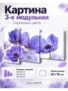 ������� ��������� ��������� ����� 26*30 ��, 26*40 ��, 26*50 ��, 50*80 �� ����