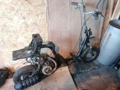 Yamaha Mint ����