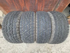 Torero MP72. ����� at, 2026 ���, �/�, ����� 5 % ����