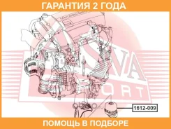 ����� ��������� ASVA / 1612009 �������� 24 ��� 1612009 ����