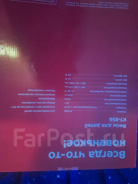���� �������. ����