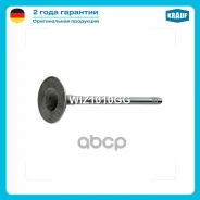 ������ �����. IN [29.55x6x100.9] AUDI, SEAT, Skoda, VW 1.4/1.6 16v 96 Krauf WIZ1010GG WIZ1010GG ����