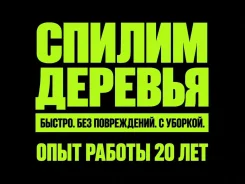 ������ ����������. ����