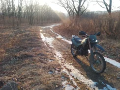 Irbis TTR 250R. 250����. ��., ��������, ������ �� �� ����