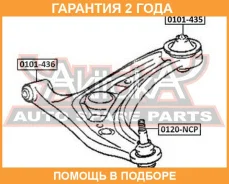 ����������� ASVA / 0101436 �������� 24 ��� 0101436 ����