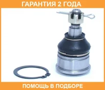 ���� � ������������ ����� ������� ������� ������ ASVA / 0320030 �������� 24 ��� 0320030 ����