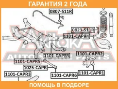 ����������� ASVA / 1101CAPR1 �������� 24 ��� 1101CAPR1 ����
