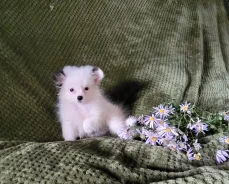 ����. ��� ����� �� ������������ ����