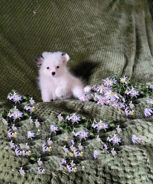 ����. ��� ����� �� ������������ ����