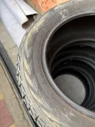 L-Guard. ������, ��� �����, 2018 ���, �/�, ����� 40 % ����