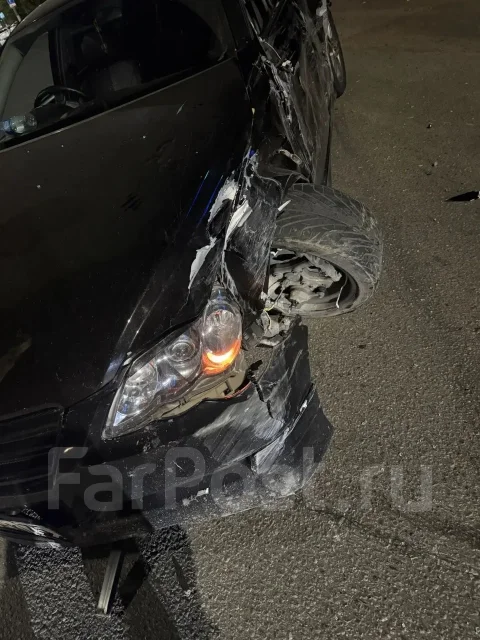 Toyota Mark X. GRX1200024010 ����