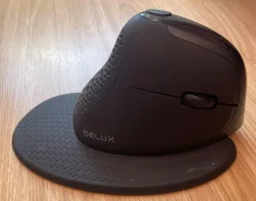���� �������. ����