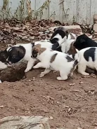 ������. ����