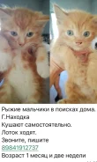 �����. ����