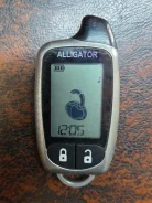 Alligator. ����