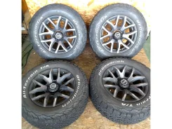 RAYS Team Daytona FDX F6