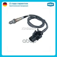 ������-���� BMW 1(E88) ������ 125[N52B30A][N52B30BF][N52B30B]218�. ��. �2007-2013 BMW 1(E82) ���� 125[N52B30A][N52B30BF][N52B30B]218�. ��. �2008-2013...