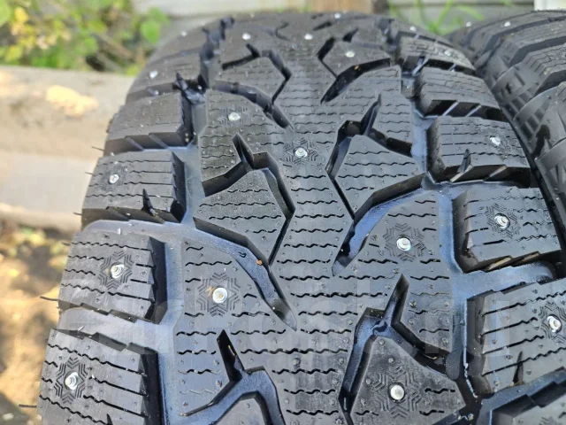 Compasal Winter Stud. ������, ����������, 2026 ���, ����� ����
