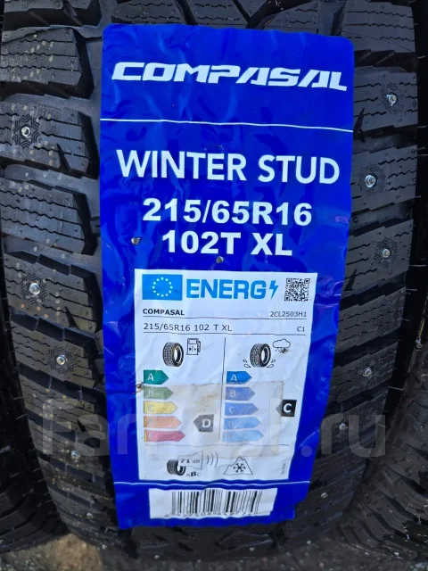 Compasal Winter Stud. ������, ����������, 2026 ���, ����� ����